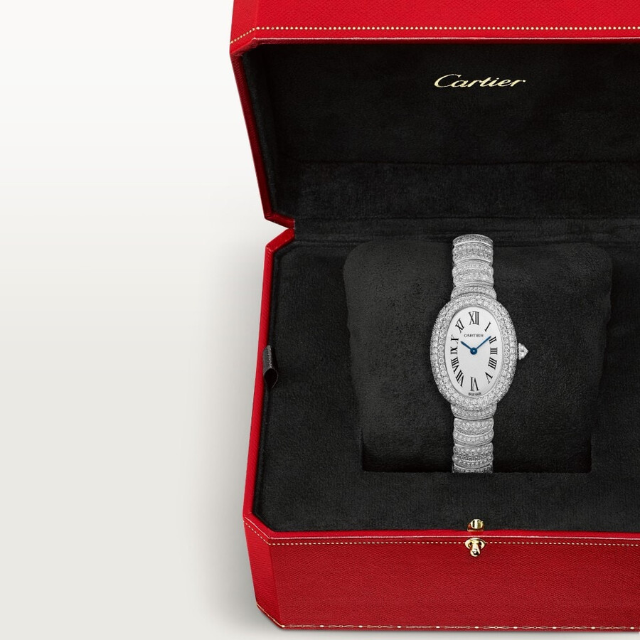 baignoire watch
