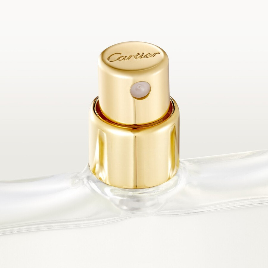 les nécessaires à parfum - must for men