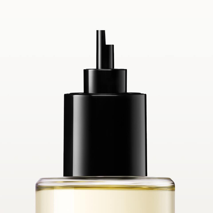 pasha de cartier noir absolu refill