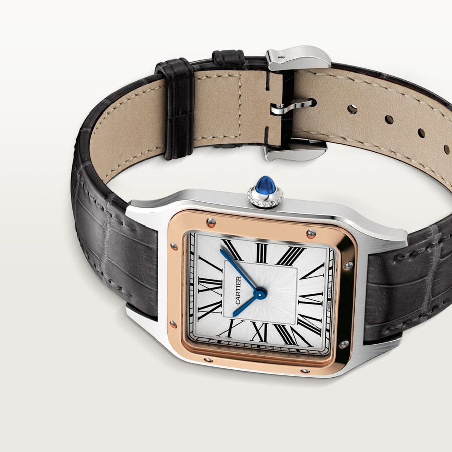 santos-dumont watch
