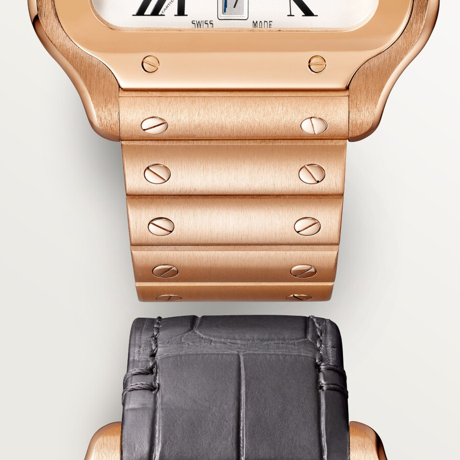 santos de cartier watch