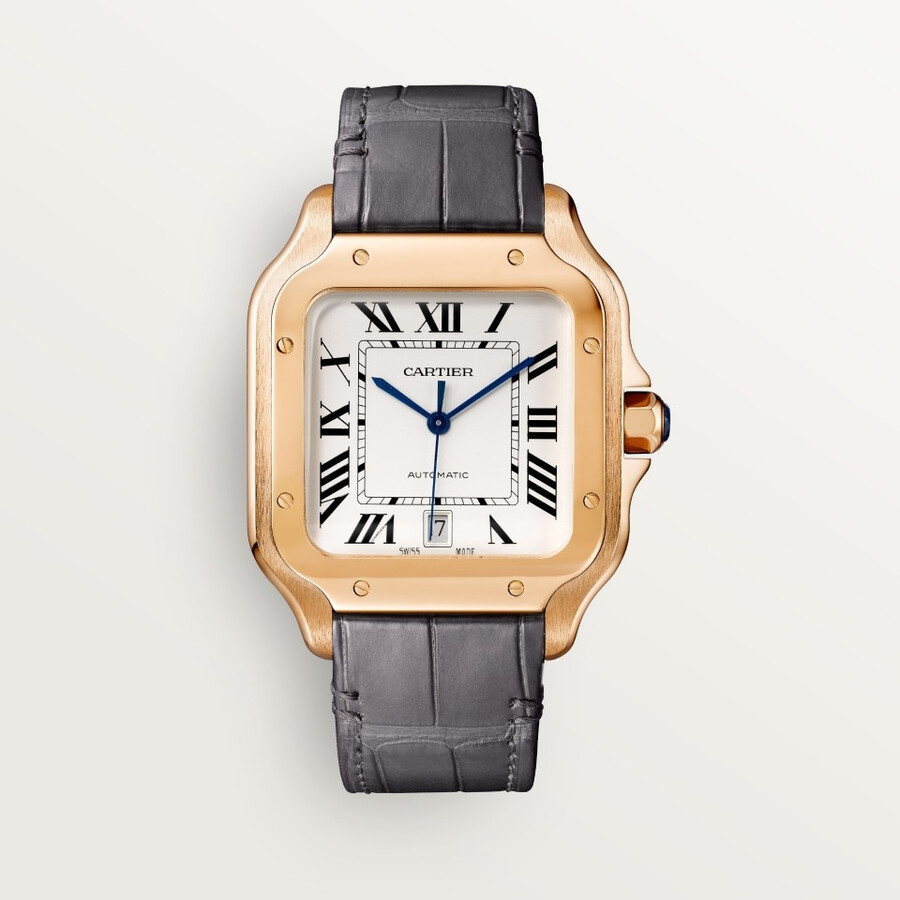 santos de cartier watch