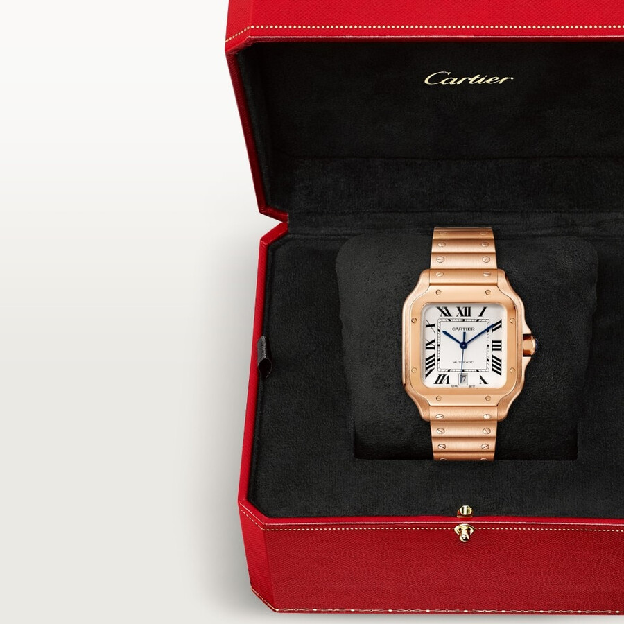 santos de cartier watch
