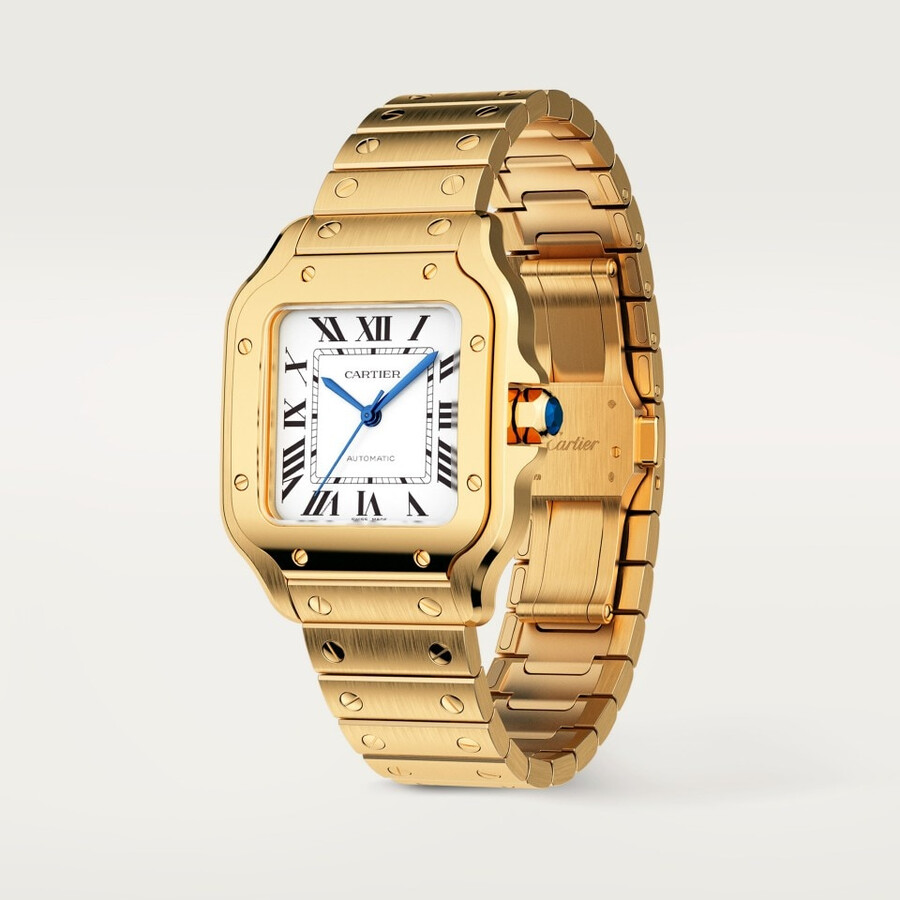santos de cartier watch