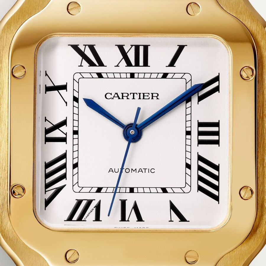 santos de cartier watch
