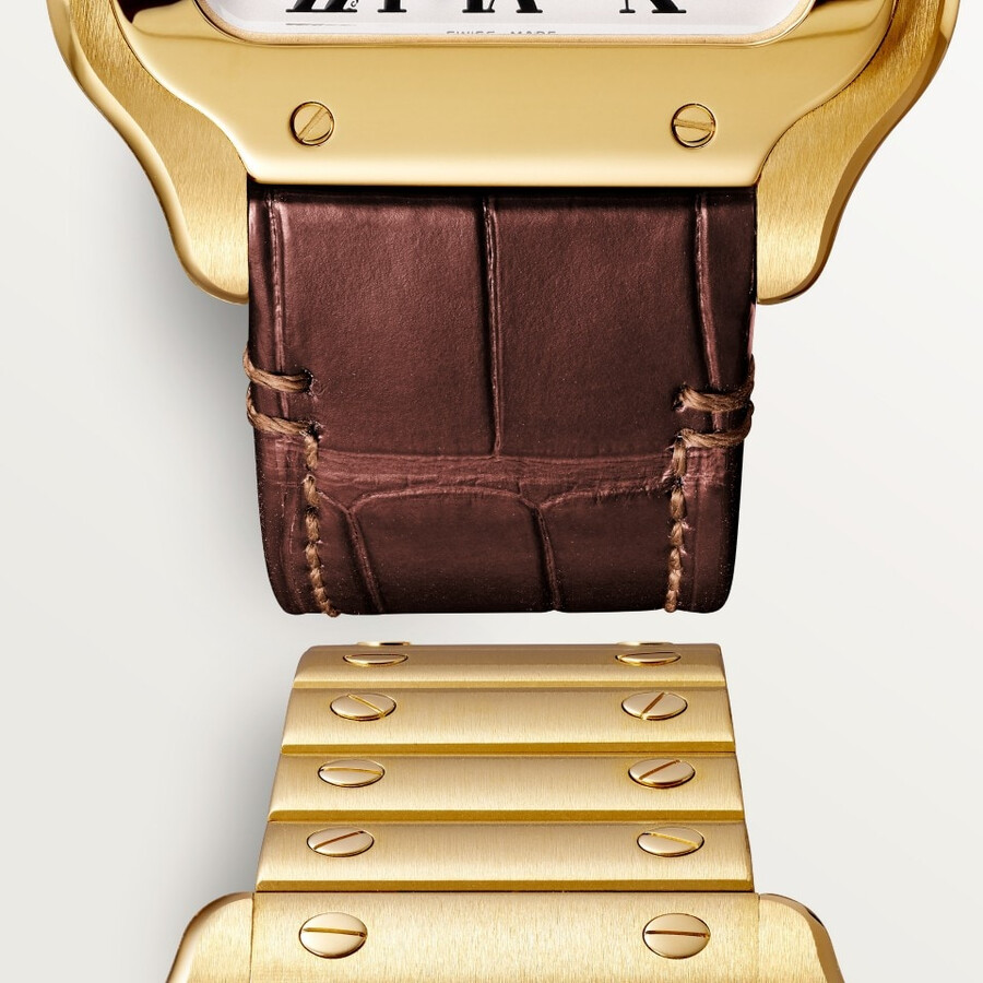 santos de cartier watch
