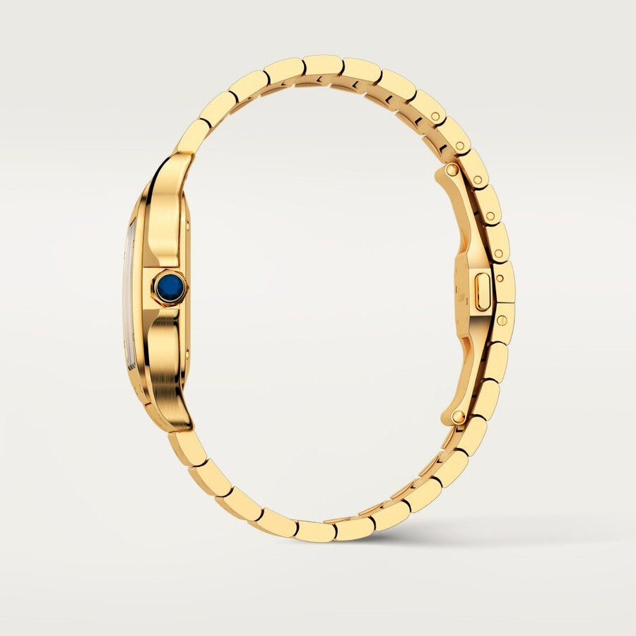 santos de cartier watch