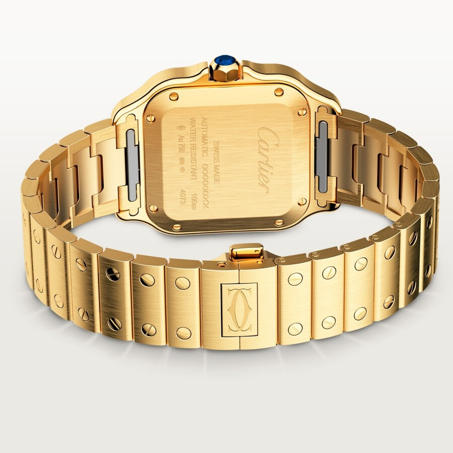 santos de cartier watch