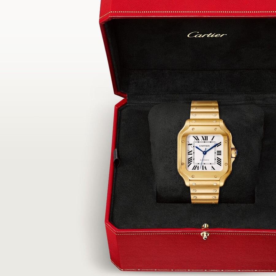 santos de cartier watch