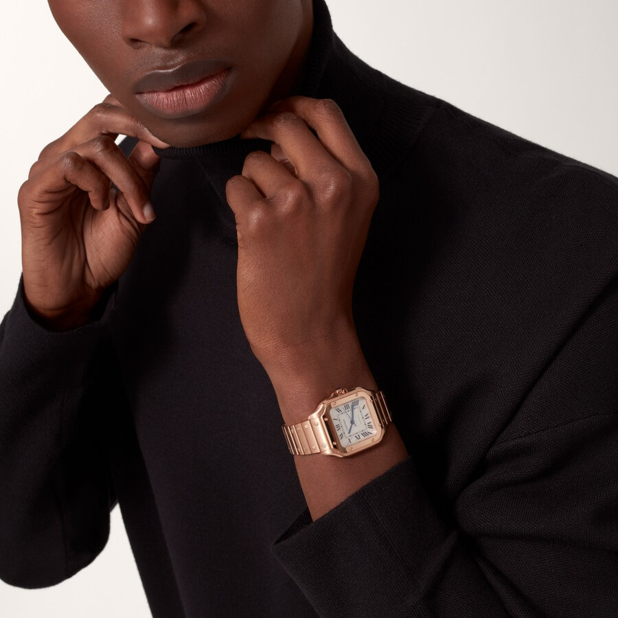 santos de cartier watch