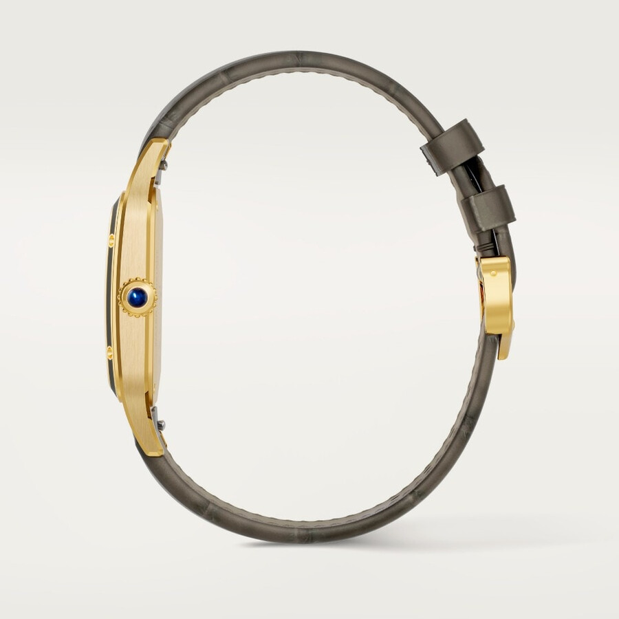 santos-dumont watch