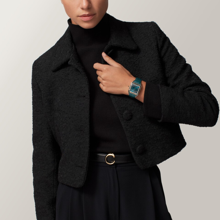 santos-dumont watch