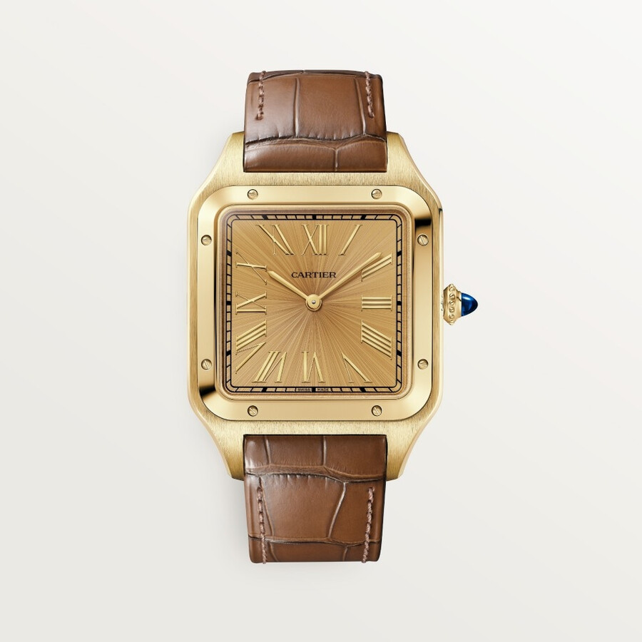santos-dumont watch