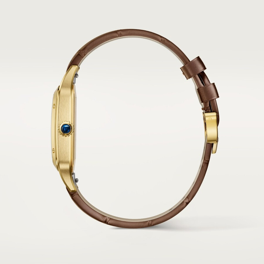 santos-dumont watch