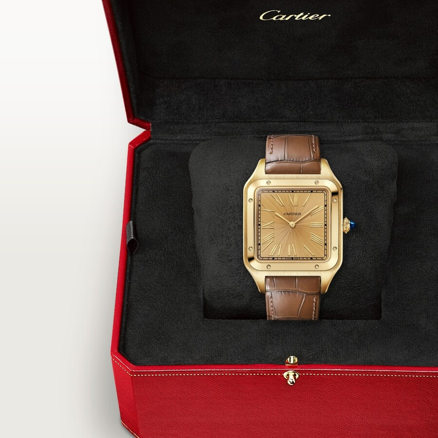 santos-dumont watch