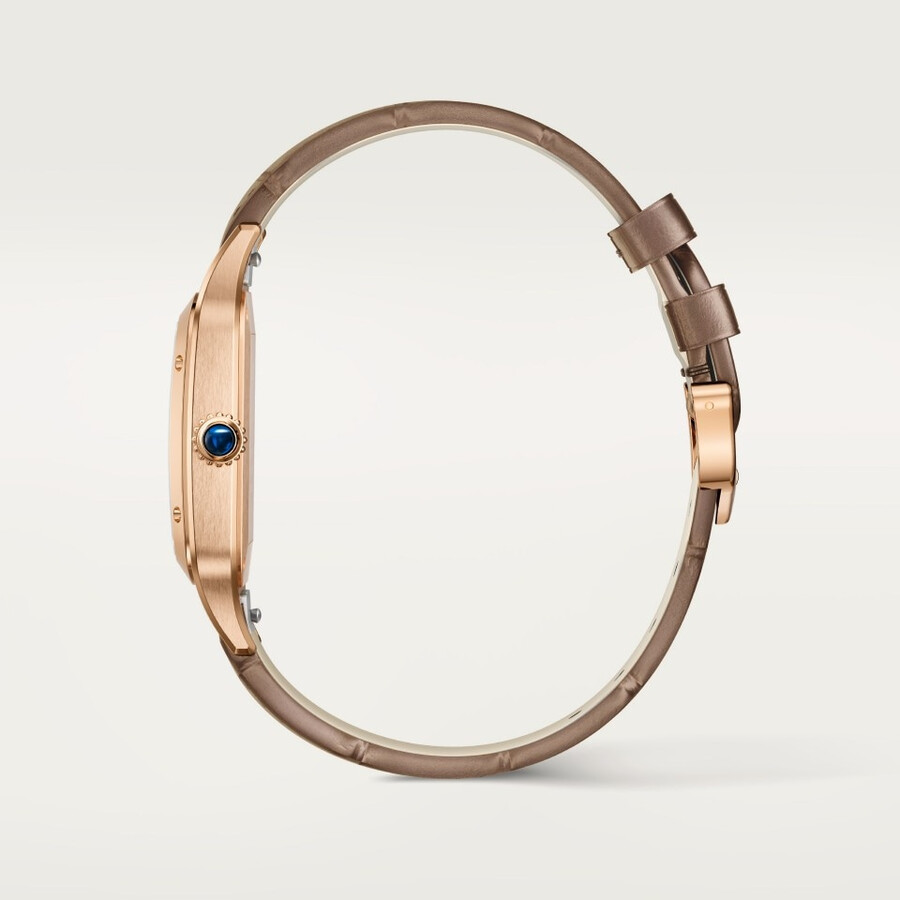 santos-dumont watch