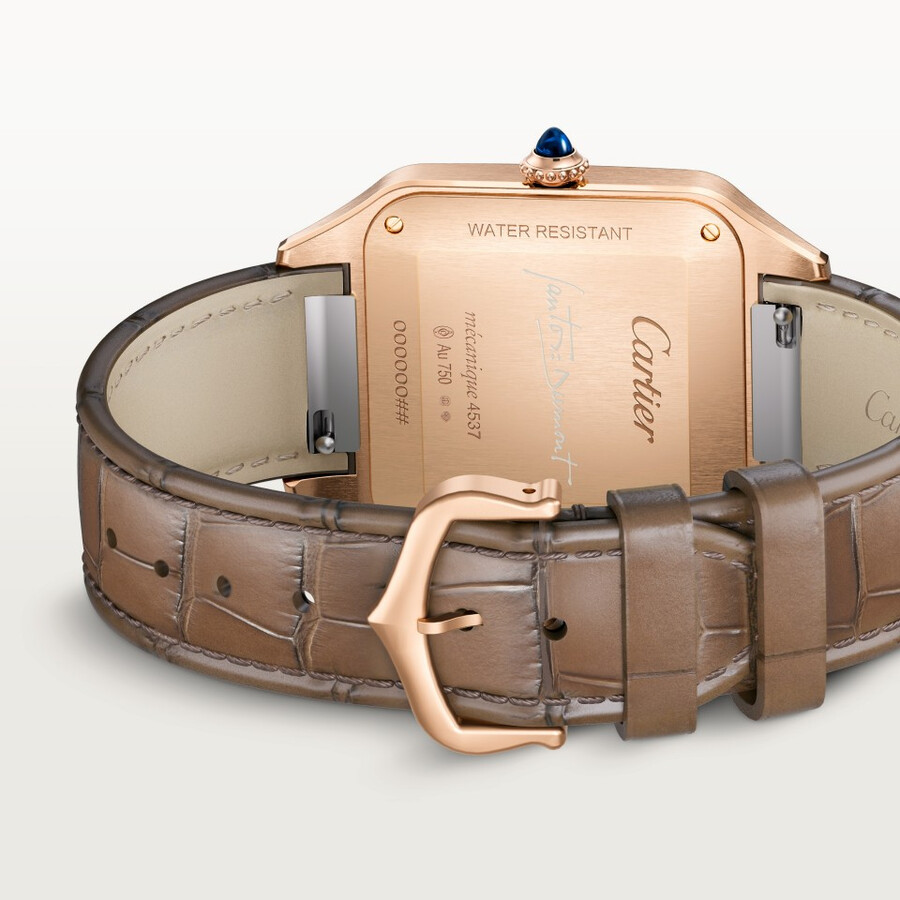 santos-dumont watch