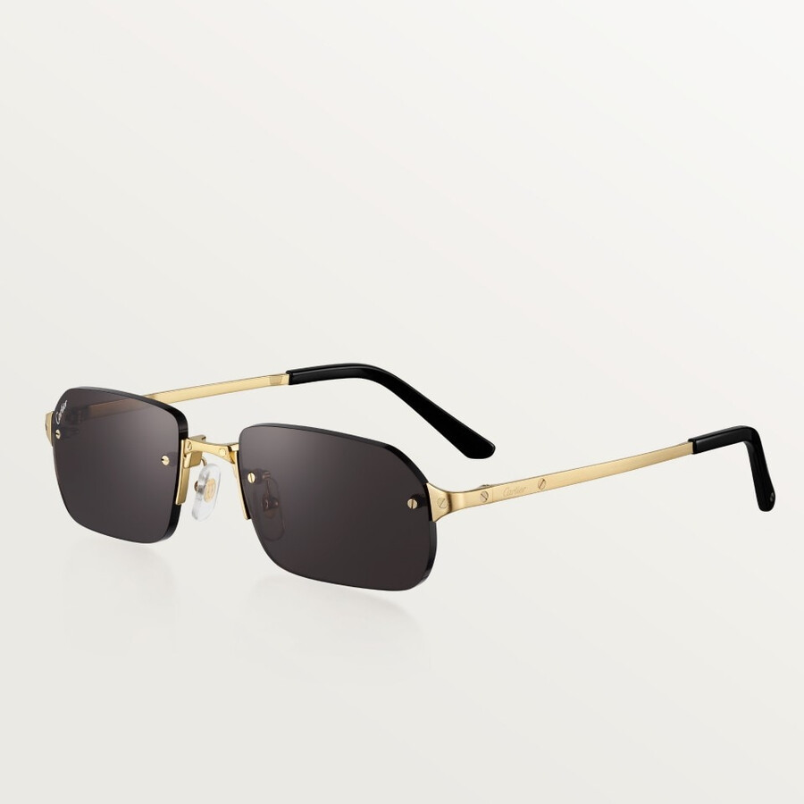 santos de cartier sunglasses