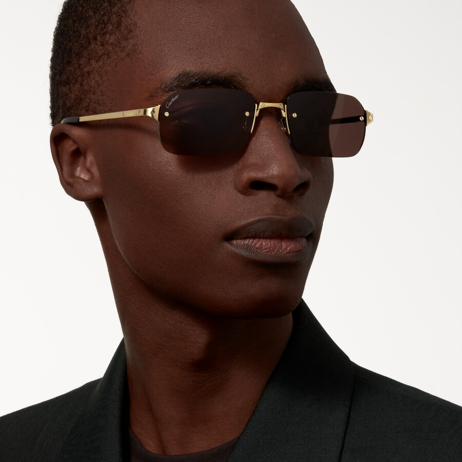 santos de cartier sunglasses