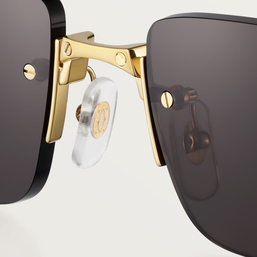 santos de cartier sunglasses