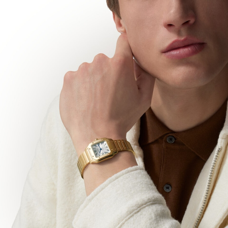 santos de cartier watch