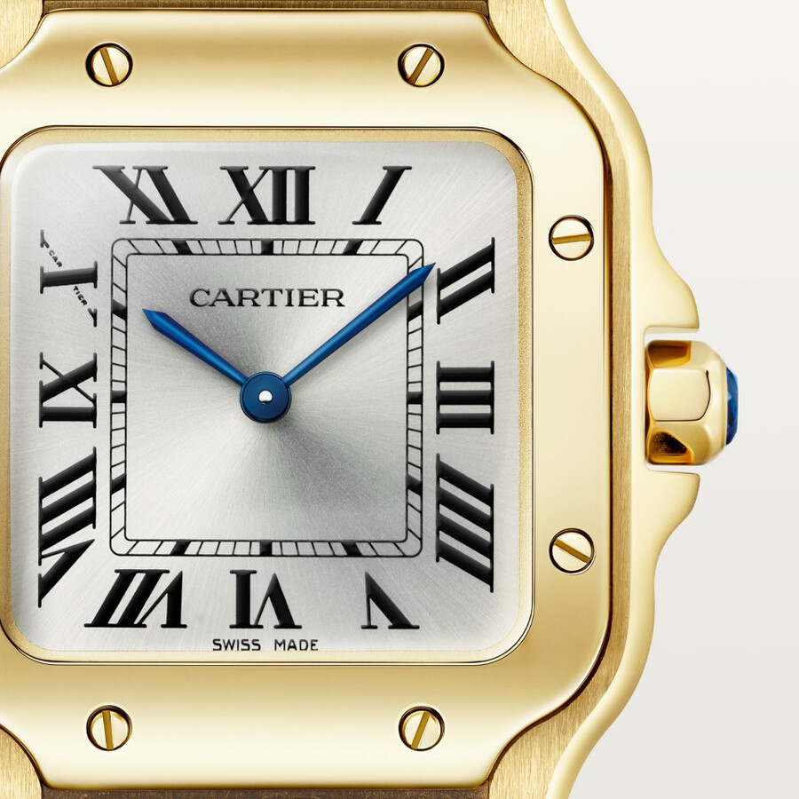 santos de cartier watch