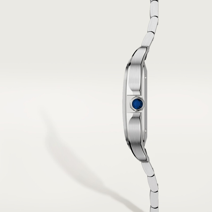 santos de cartier watch