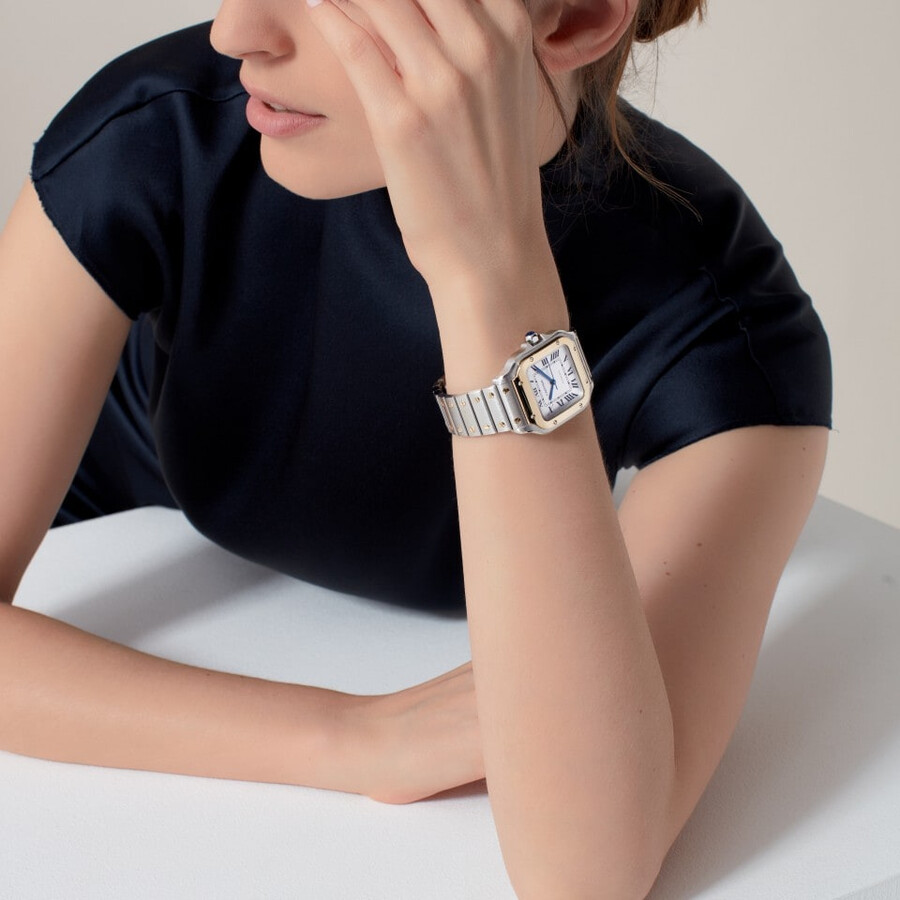 santos de cartier watch