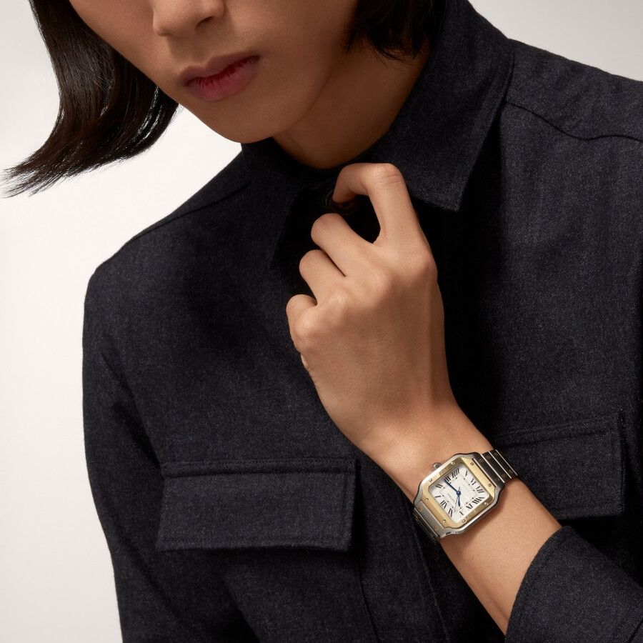 santos de cartier watch