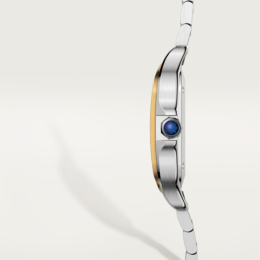 santos de cartier watch