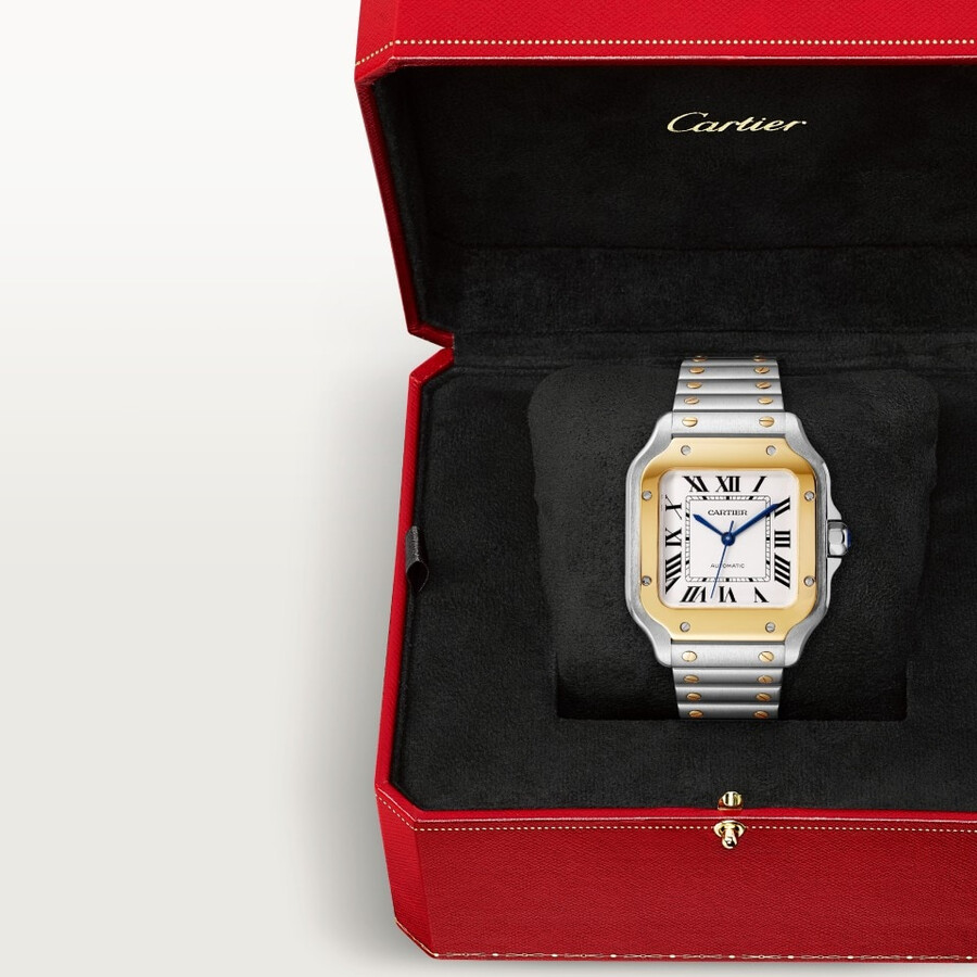 santos de cartier watch