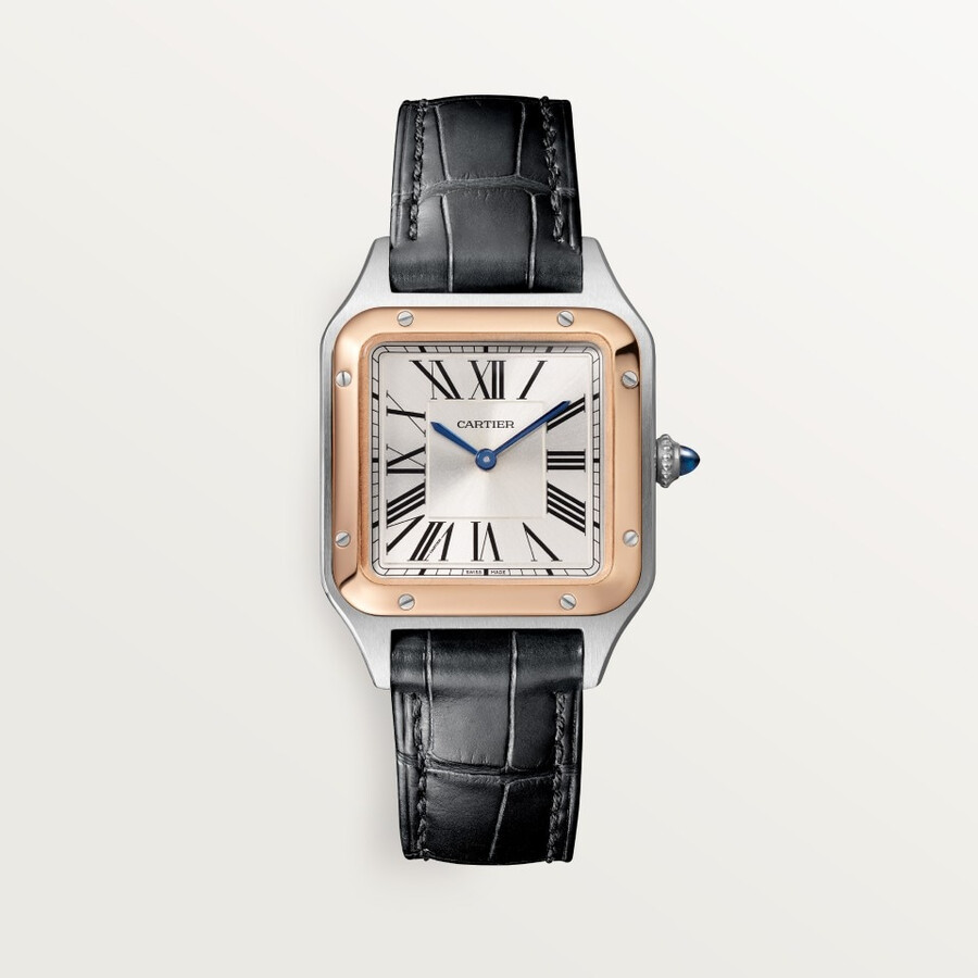 santos-dumont watch
