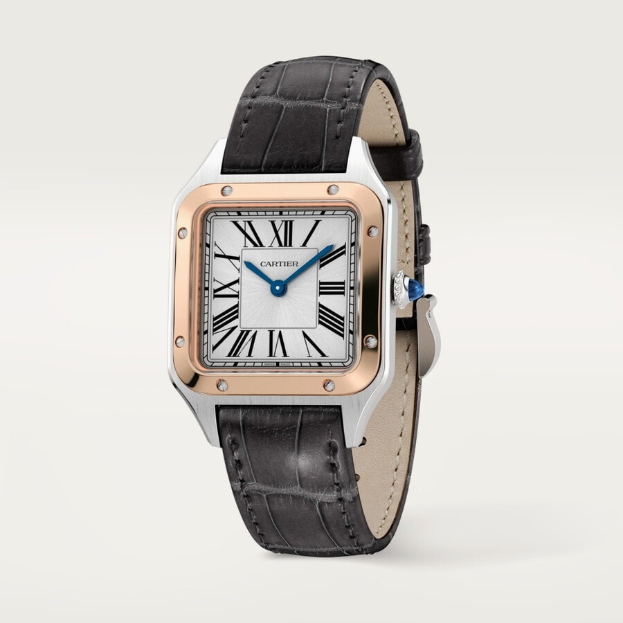santos-dumont watch