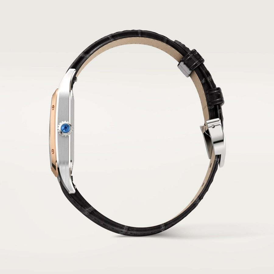 santos-dumont watch