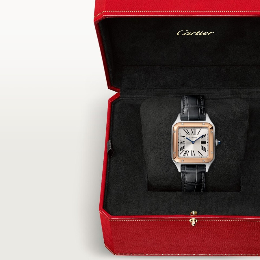 santos-dumont watch
