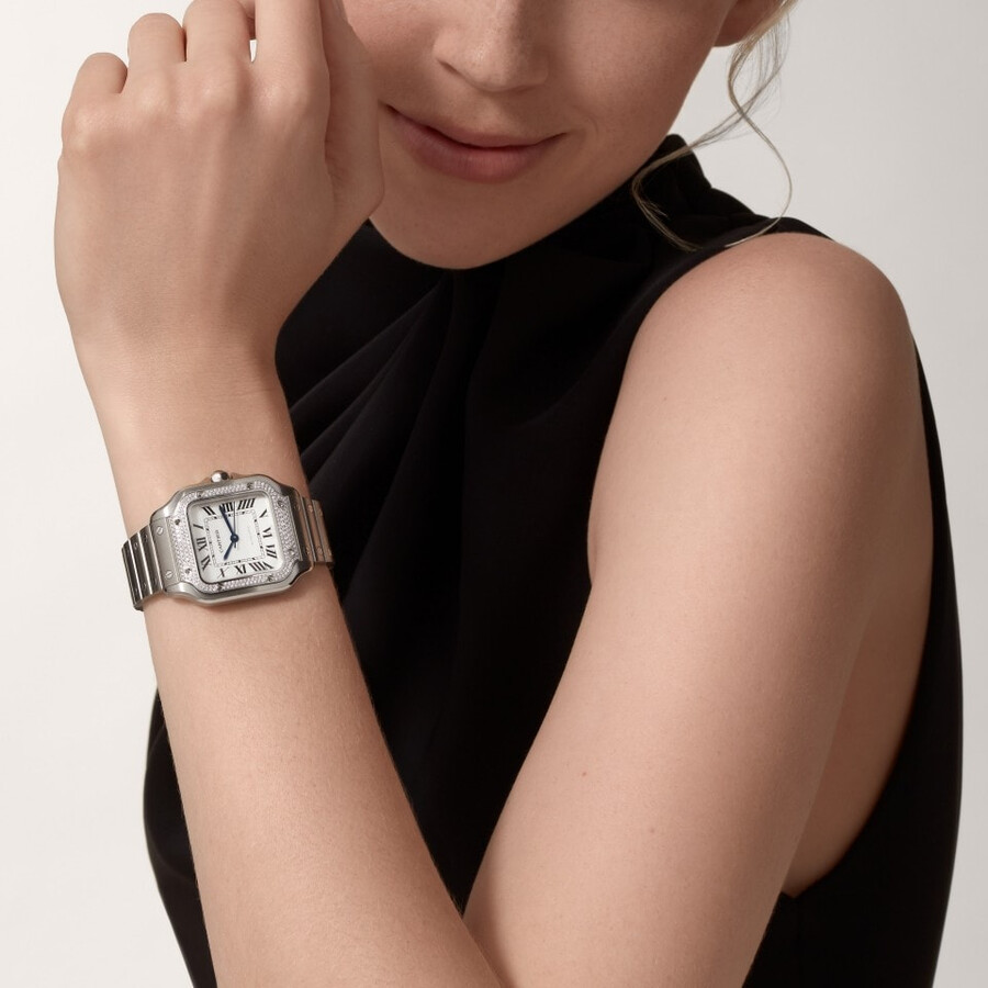 santos de cartier watch