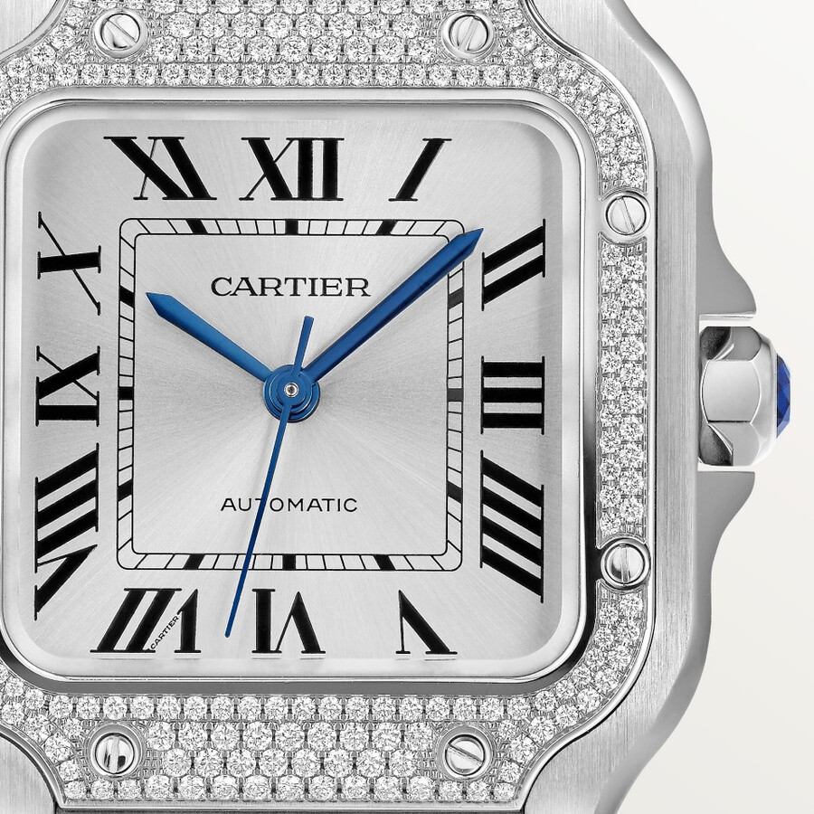 santos de cartier watch