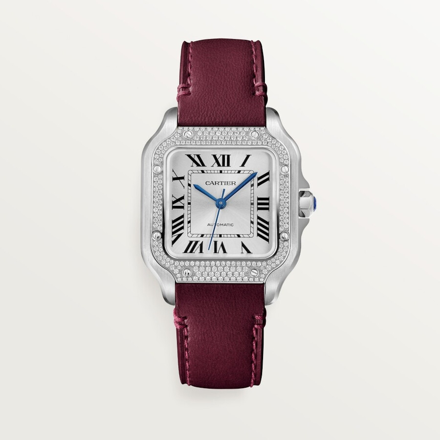 santos de cartier watch