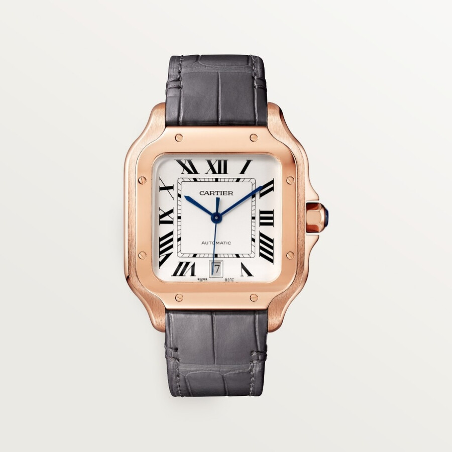santos de cartier watch