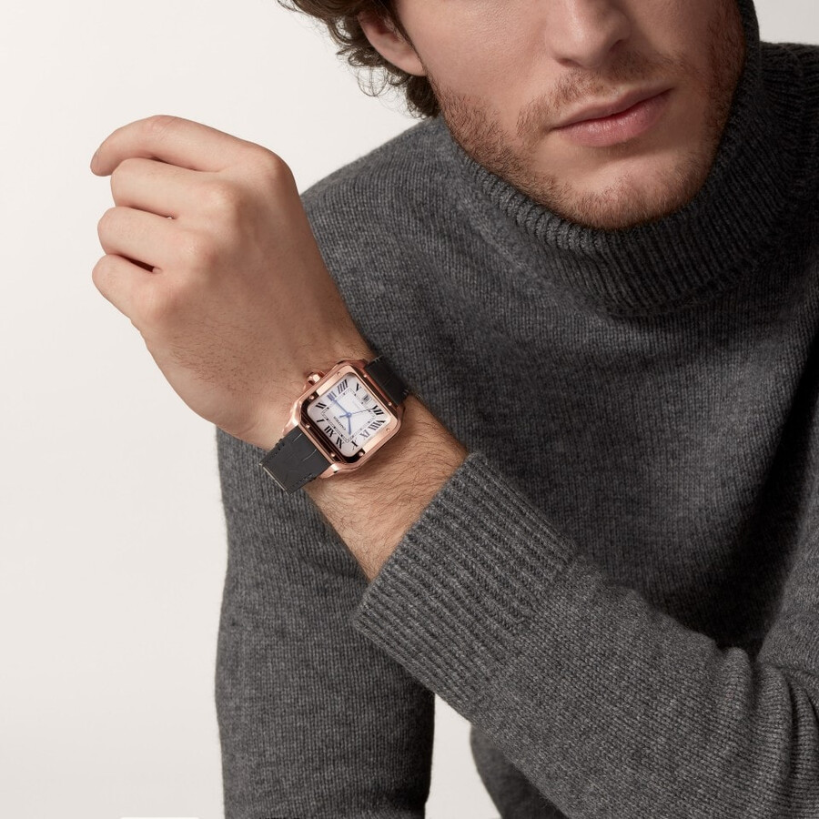 santos de cartier watch