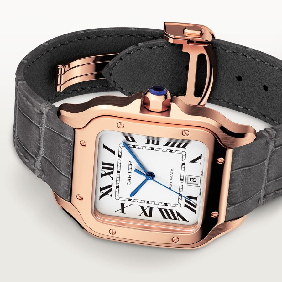 santos de cartier watch