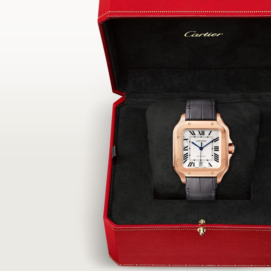 santos de cartier watch