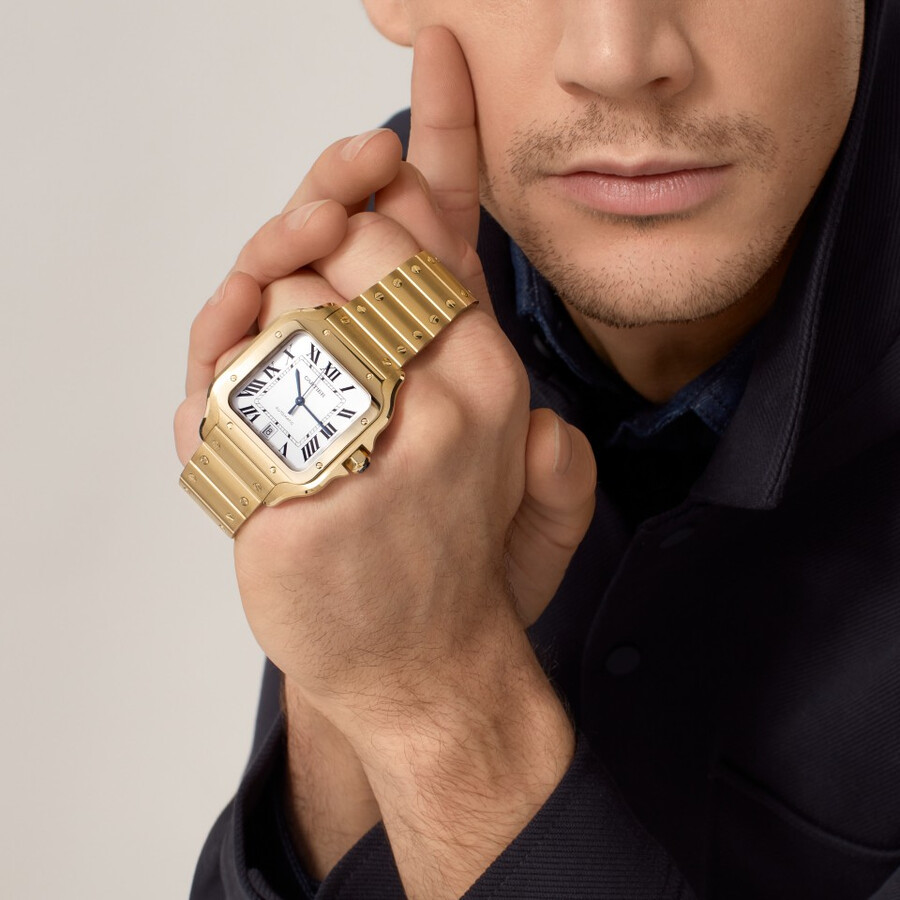 santos de cartier watch