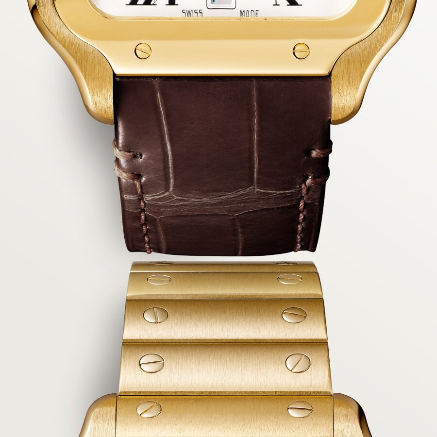 santos de cartier watch