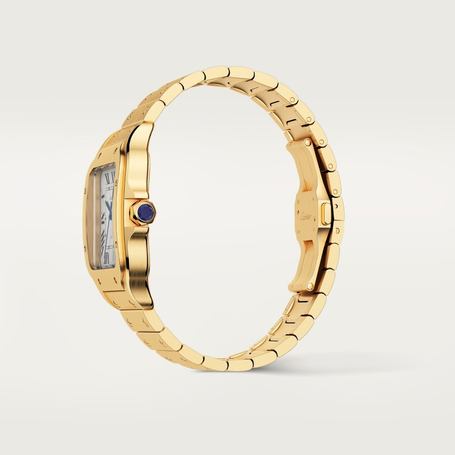 santos de cartier watch