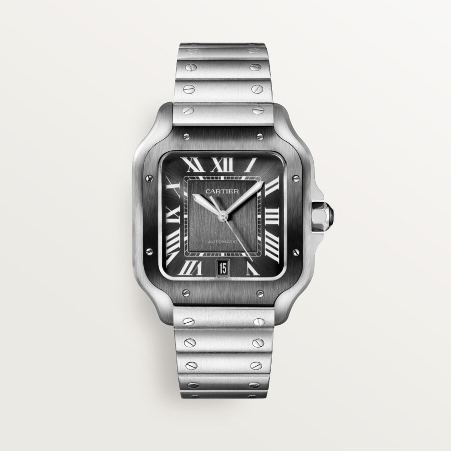santos de cartier watch