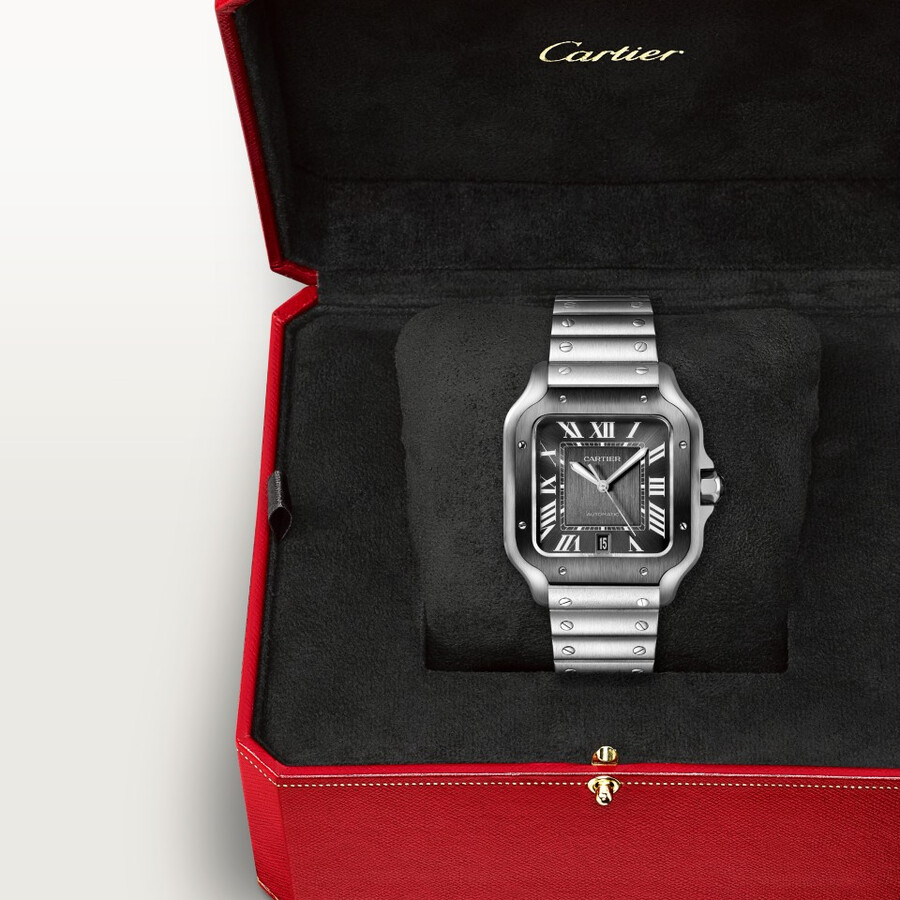 santos de cartier watch