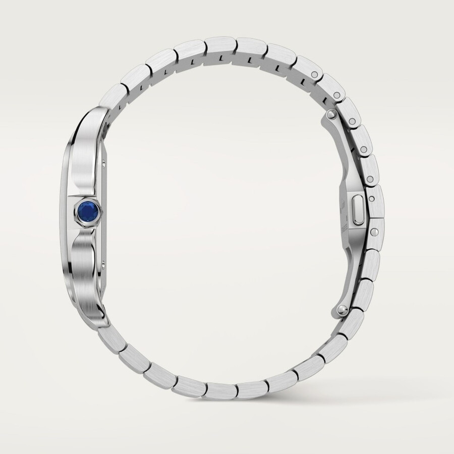 santos de cartier watch