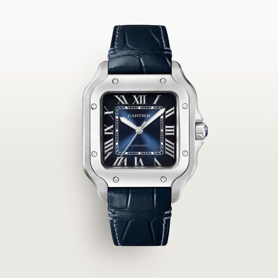 santos de cartier watch