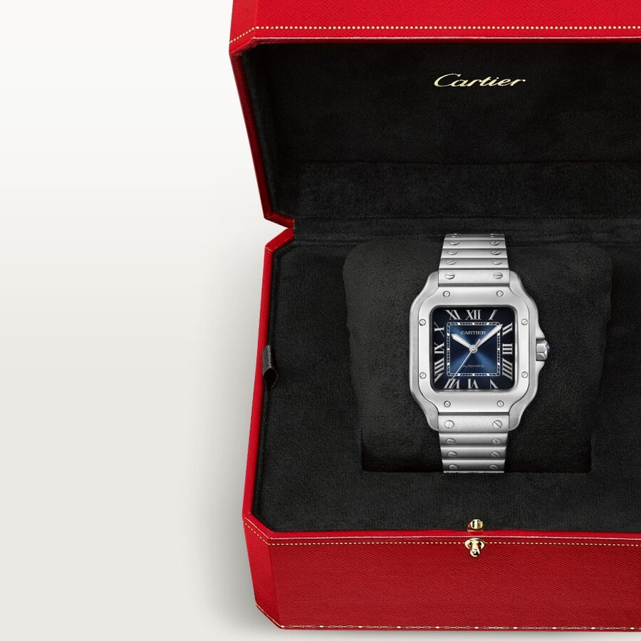 santos de cartier watch